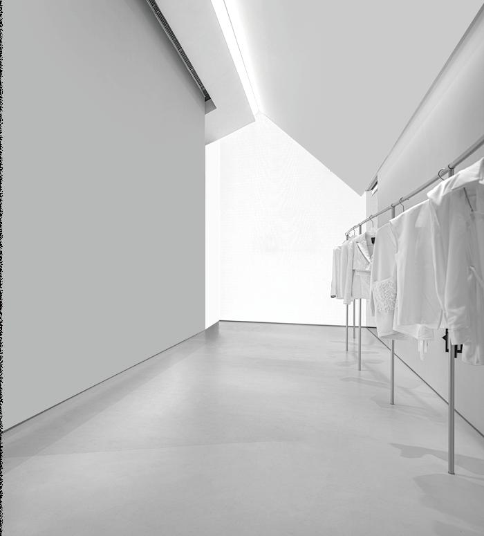 Commercial garment steamer supplier model by Beatles Tech